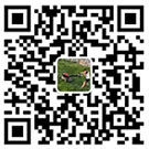 弘楚基业强夯微信公众号