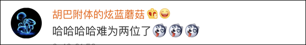 爆笑！遇上日本“靈魂翻譯”，身經(jīng)百戰(zhàn)的國(guó)乒高手都懵了